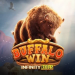 รีวิวเกมสล็อต Buffalo Win เกมกระทิงแห่งทุ่งหญ้าหรงซาน